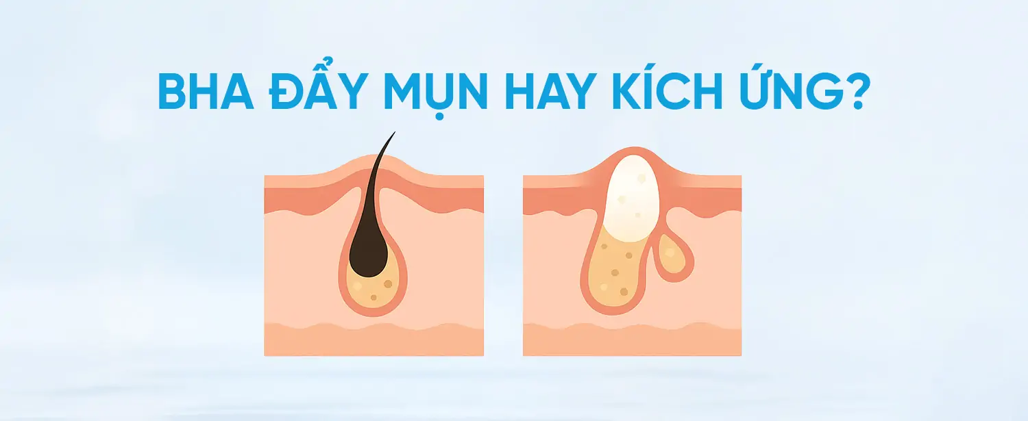 BHA Toner: Tác Dụng, Lợi Ích và Hiện Tượng BHA Đẩy Mụn - DUALCLEAR PADS - DR.CLARIV